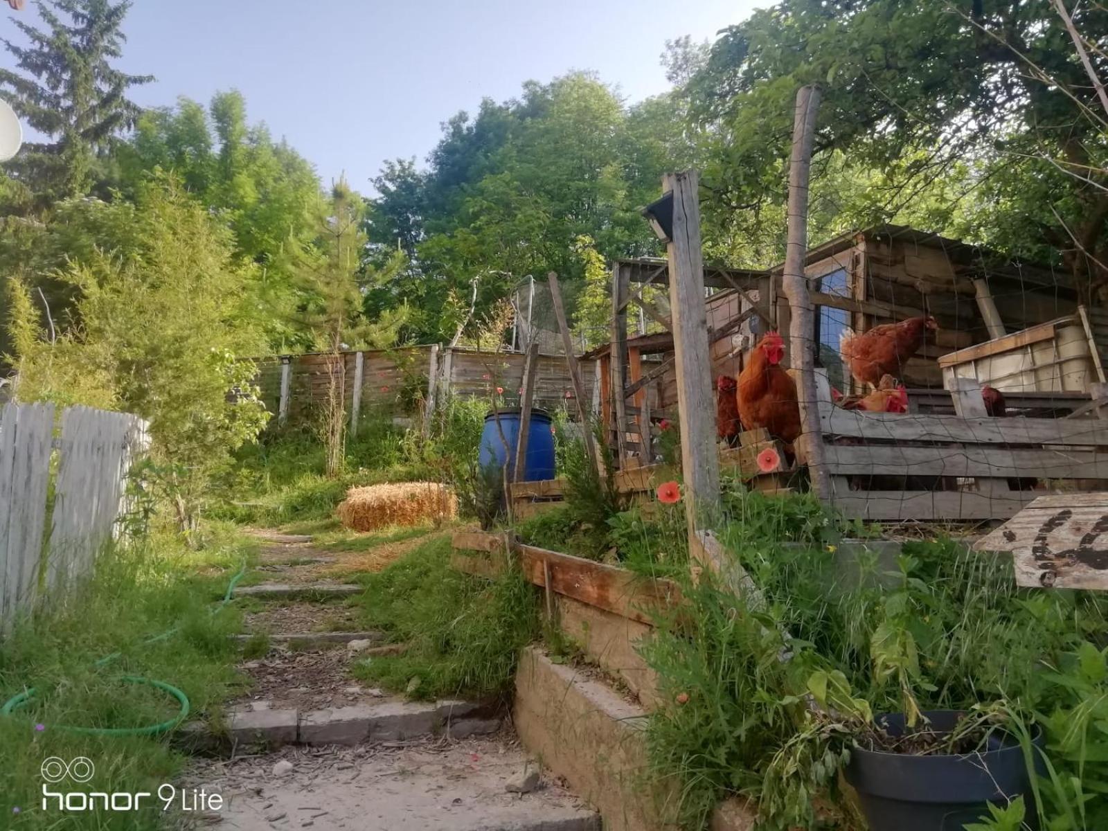 La Cabane Des Trappeurs Crépy-en-Valois Exterior foto